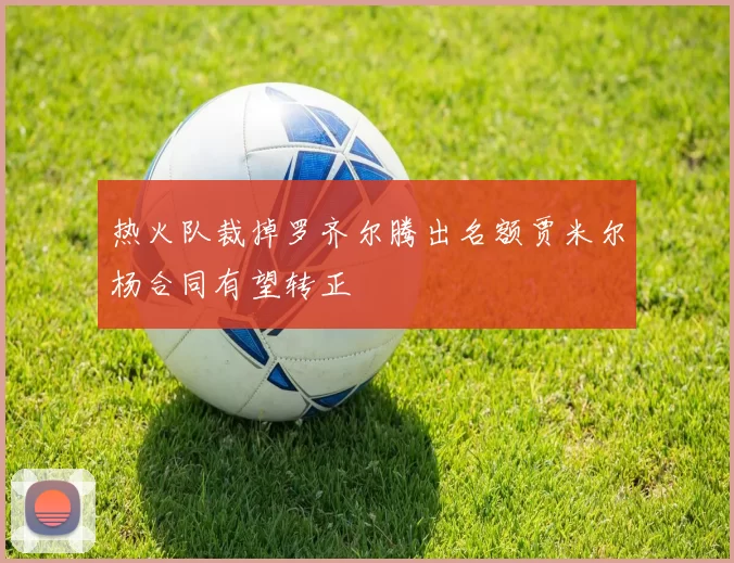 热火队裁掉罗齐尔腾出名额贾米尔杨合同有望转正